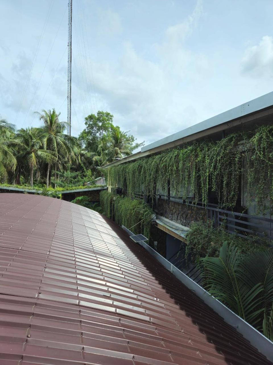 Homestay Bao Binh Ben Tre Exterior photo