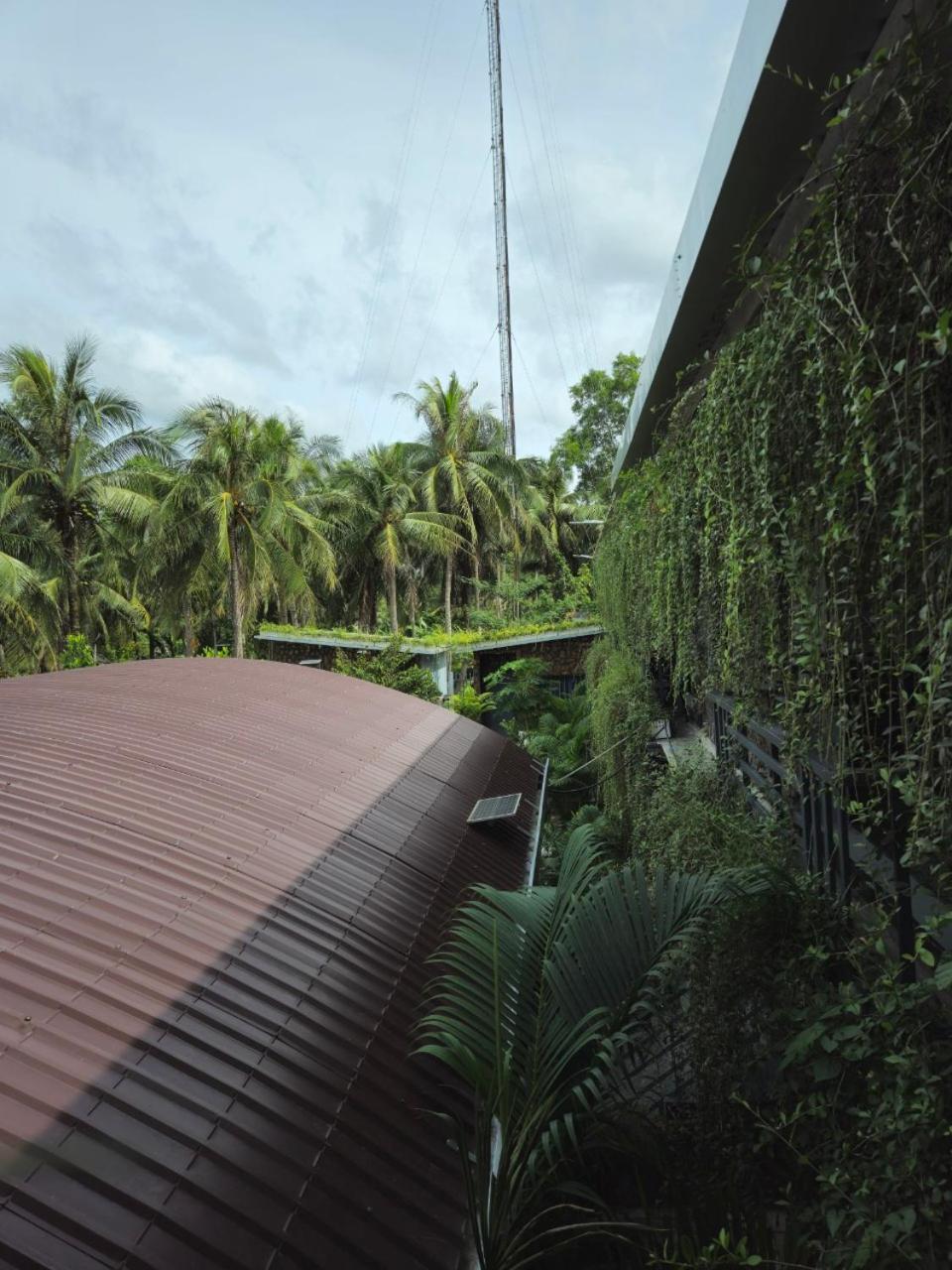 Homestay Bao Binh Ben Tre Exterior photo