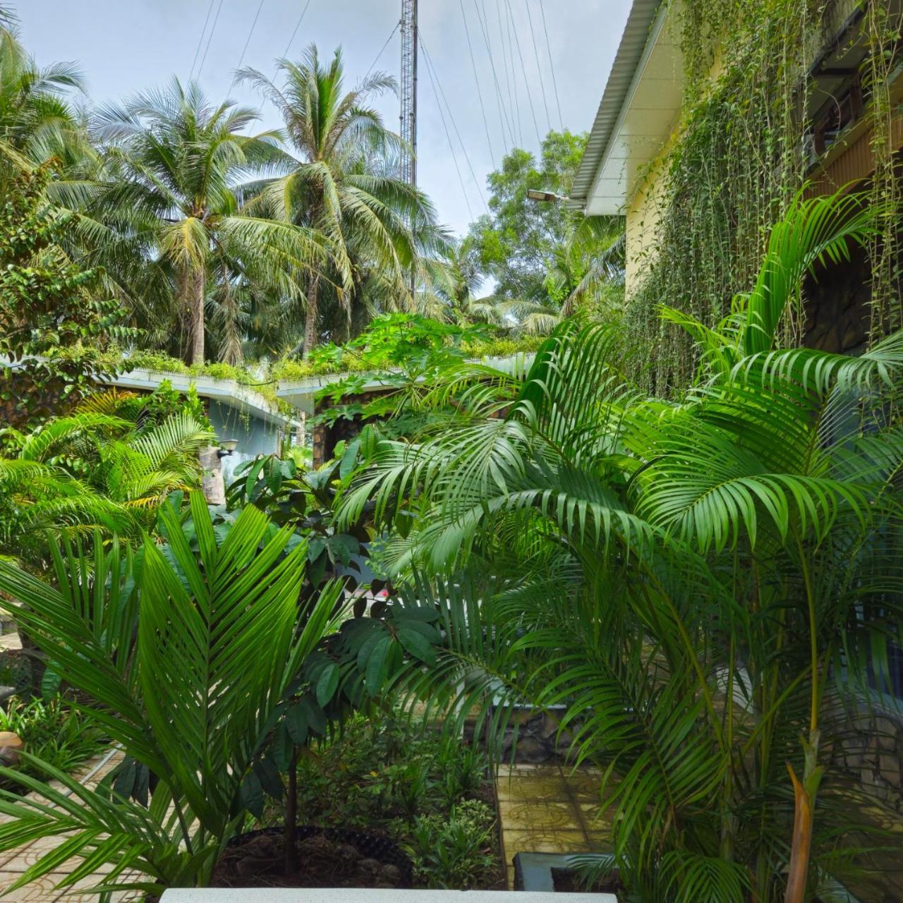 Homestay Bao Binh Ben Tre Exterior photo