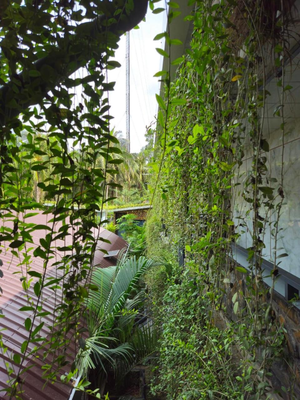 Homestay Bao Binh Ben Tre Exterior photo