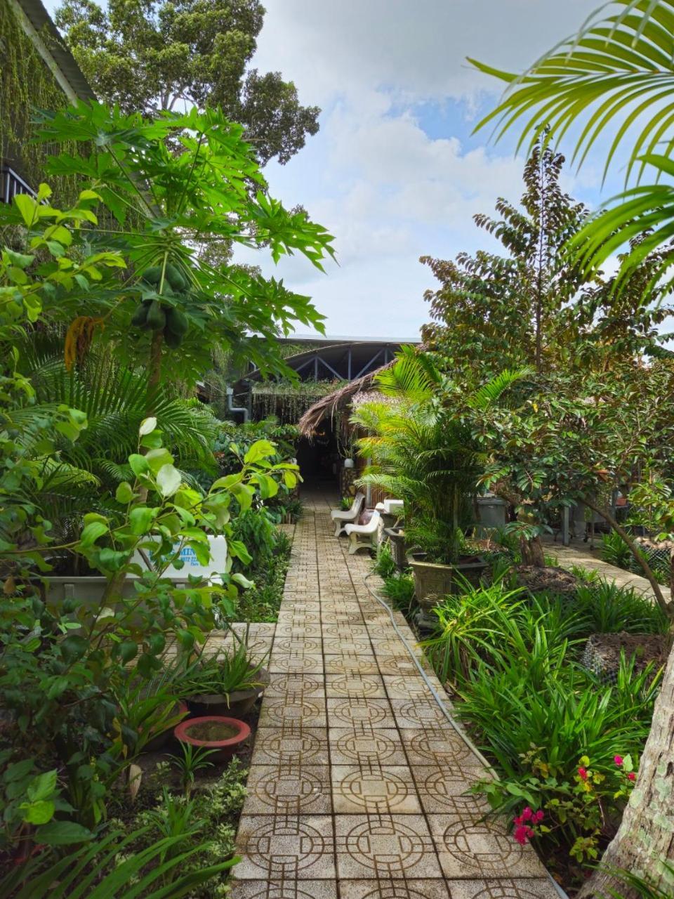 Homestay Bao Binh Ben Tre Exterior photo